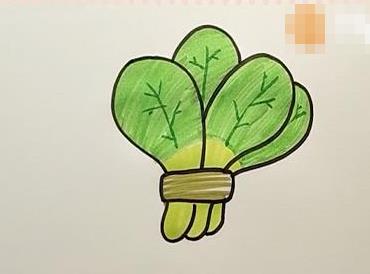 小白菜儿童画怎么画 小白菜简笔画简单又好看