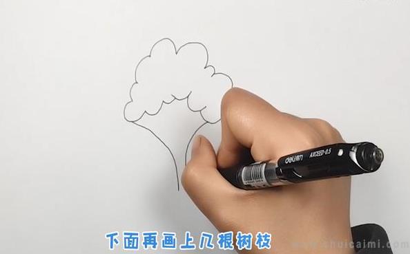 小树简笔画怎么画 小树简笔画步骤
