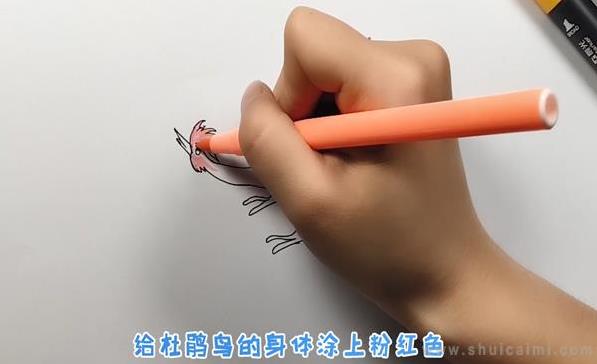 杜鹃鸟简笔画怎么画 杜鹃鸟简笔画好看