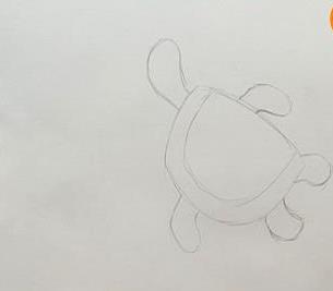 乌龟儿童画怎么画 彩色乌龟简笔画画法