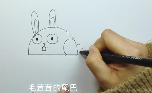 兔子简笔画怎么画 兔子简笔画图片大全