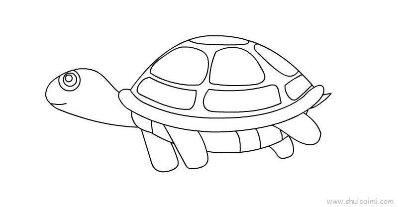 乌龟儿童画怎么画 乌龟简笔画好看