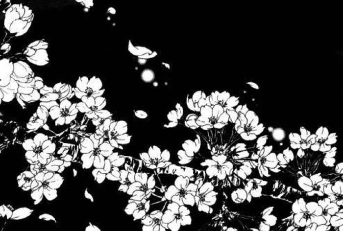 简笔画花朵图案简单漂亮 简笔画花朵图案大全