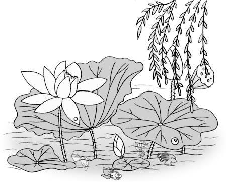 莲花简笔画 莲花简笔画简单又好看