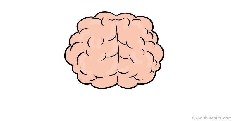卡通人类大脑简笔画教程