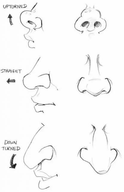 鼻子 简笔画 鼻子简笔画彩色