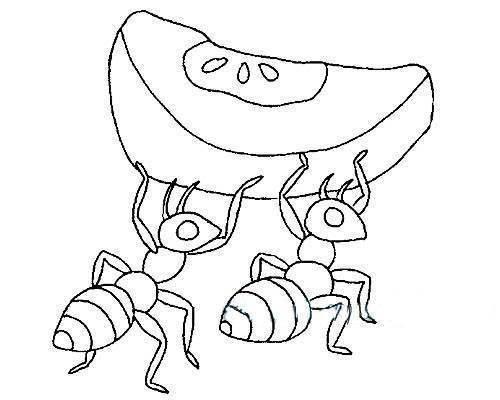 蚂蚁简笔画 蚂蚁简笔画图片