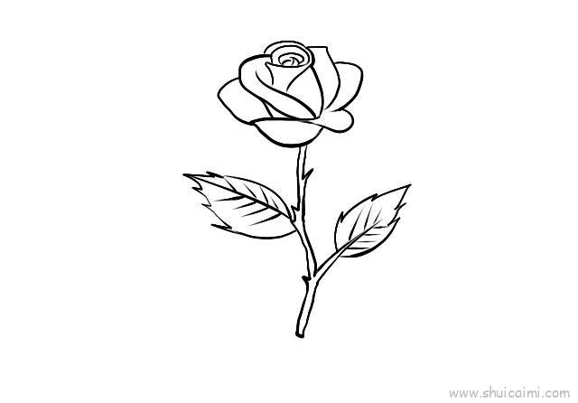 月季花儿童画怎么画 月季花简笔画简单又好看