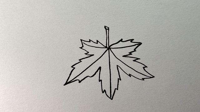 枫叶简笔画 枫叶简笔画图片大全