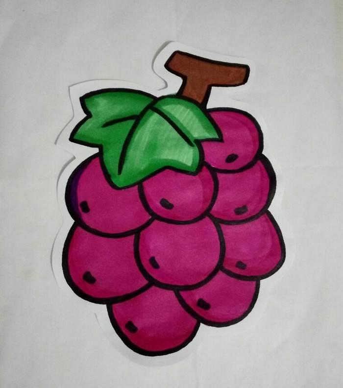 葡萄简笔画图片大全 葡萄简笔画图片大全带颜色