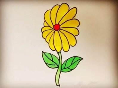 菊花的简笔画 菊花的简笔画图片