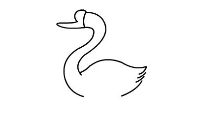 天鹅画法 简笔画_天鹅简单画