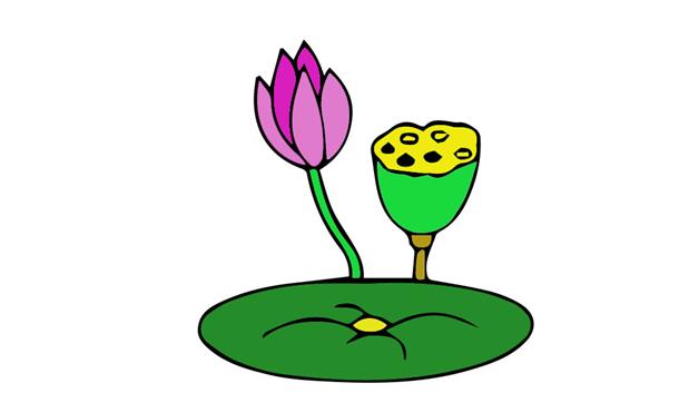 荷叶的简笔画怎么画 荷叶简笔画图片大全