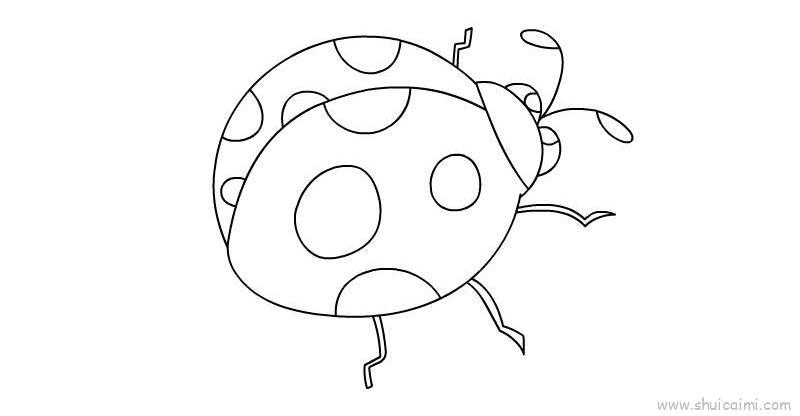 瓢虫插画儿童画怎么画 瓢虫插画简笔画顺序