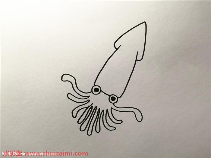 乌贼怎么画 乌贼简笔画漂亮卡通