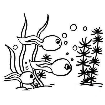 蝌蚪的简笔画图片大全 蝌蚪简笔画图片大全彩色