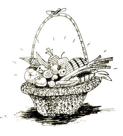 果篮简笔画 丰收果篮简笔画