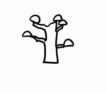 松树简笔画 松树简笔画大全大图