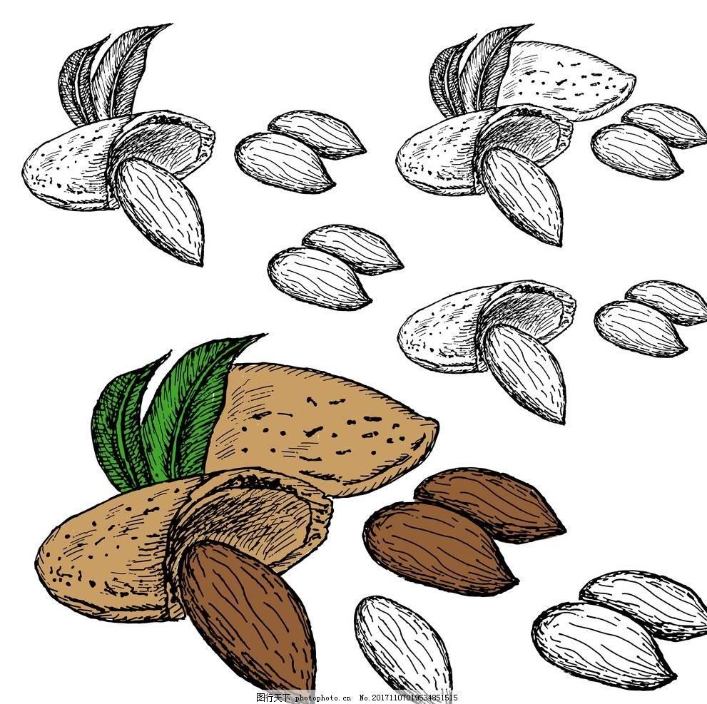 坚果简笔画 植物大战僵尸里面的坚果简笔画