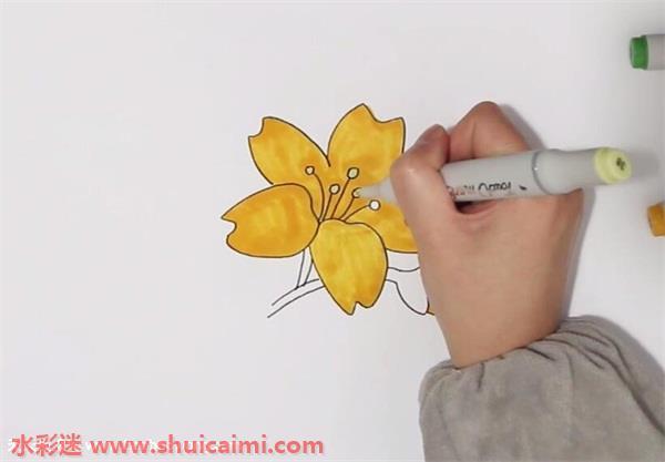 迎春花怎么画 迎春花简笔画彩色
