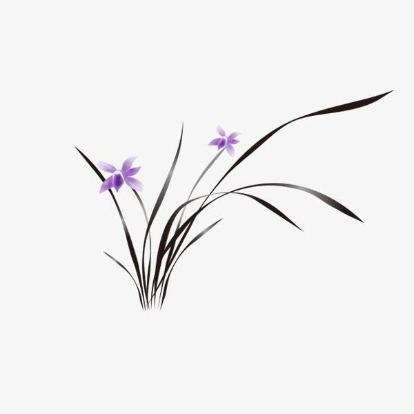 兰花的简笔画图片大全 兰花的简笔画图片大全集