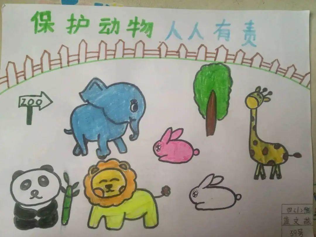 野生动物简笔画大全 野生动物简笔画大全图片