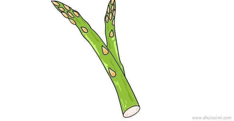芦笋儿童画怎么画 芦笋简笔画简单又好看
