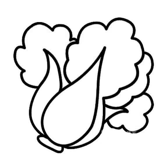 白菜简笔画图片 画大白菜简笔画图片