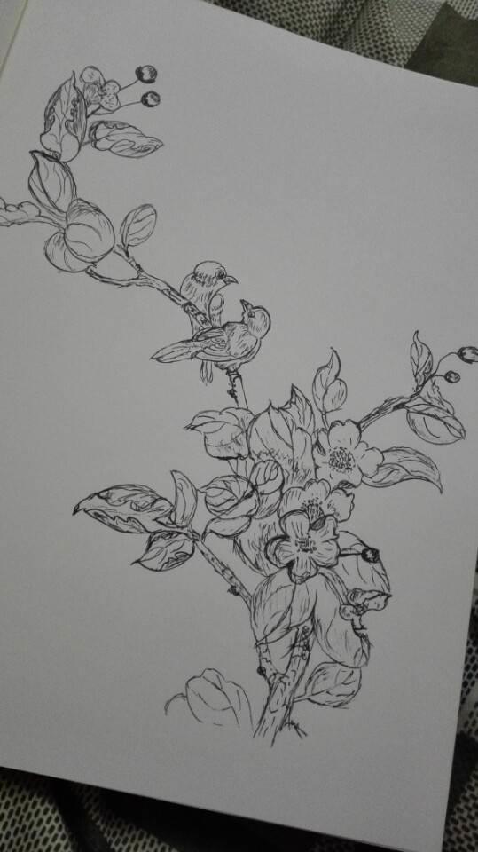 海棠花简笔画 怎样画海棠花简笔画