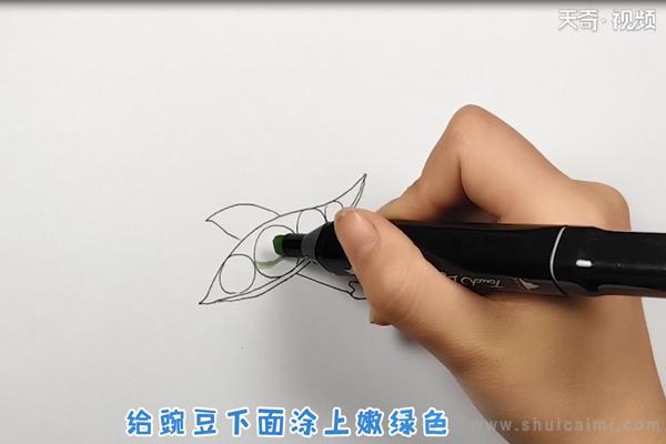 豆角简笔画怎么画 豆角简笔画顺序