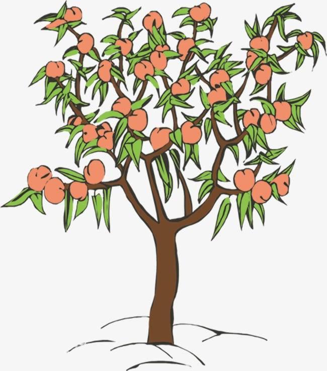 桃树简笔画图片大全 桃树简笔画图片大全集彩色