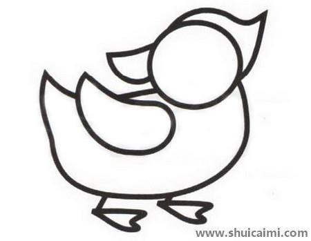 儿童简笔画鸳鸯步骤教程