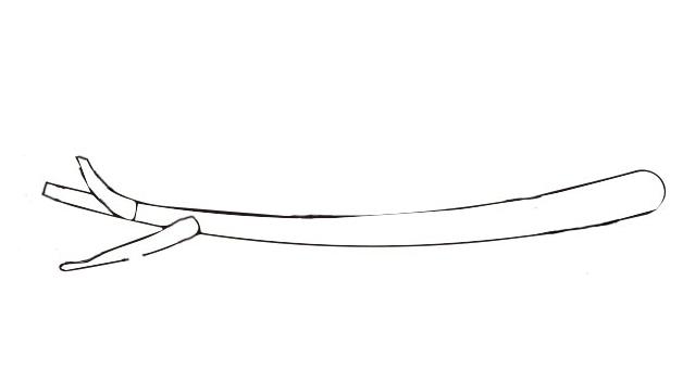 树枝简笔画怎么画 树枝简笔画步骤