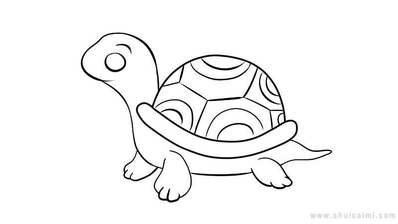 乌龟简笔画怎么画 乌龟简笔画图片大全