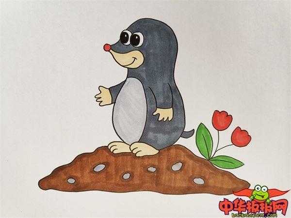 小鼹鼠怎么画 小鼹鼠简笔画图片带颜色