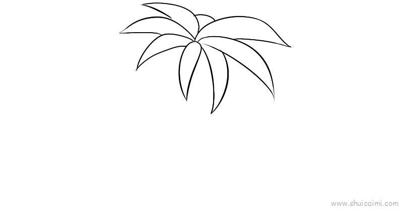 椰树儿童画怎么画 椰树简笔画好看