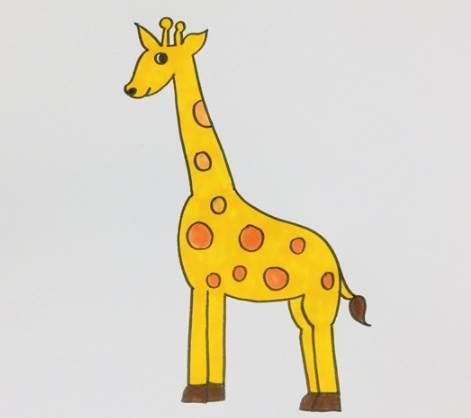 长颈鹿简笔画 长颈鹿简笔画彩色