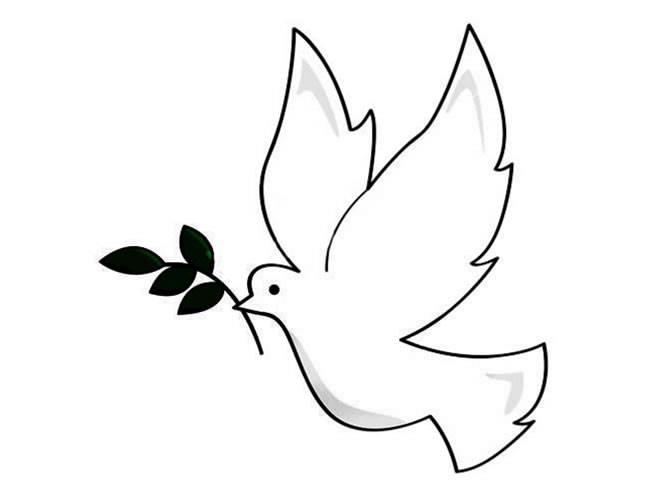 和平鸽简笔画 和平鸽简笔画儿童简笔画