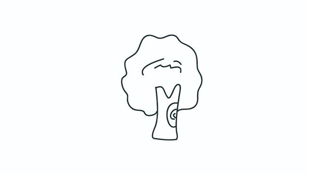 树木简笔画怎么画 树木简笔画图片