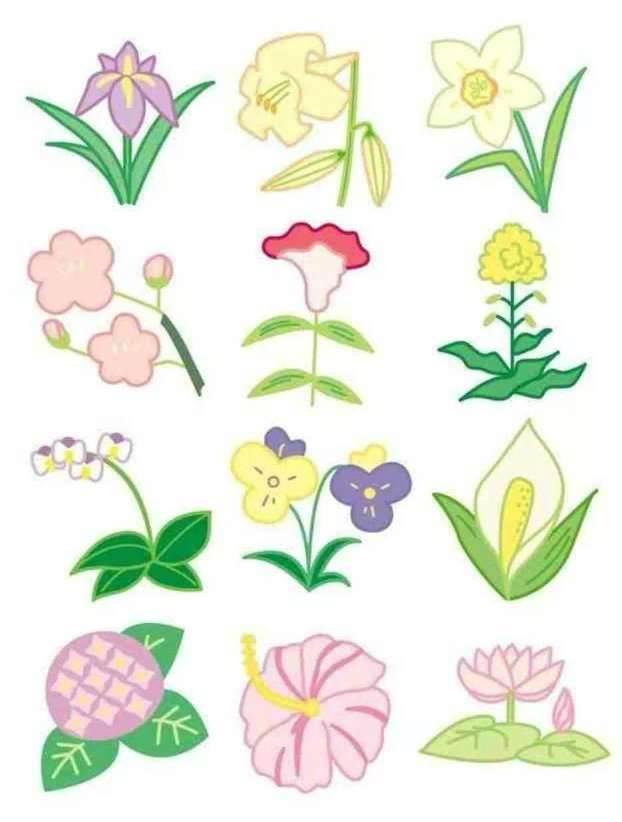 花卉简笔画 花卉简笔画图片大全