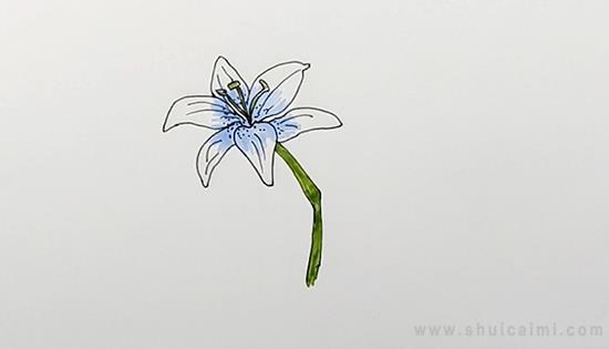 百合花简笔画怎么画 百合花简笔画好看