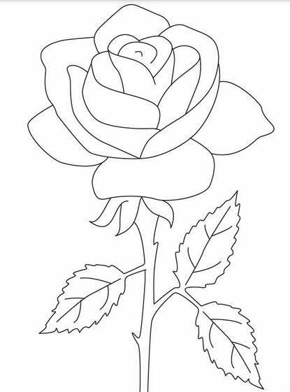 玫瑰花图片简笔画 玫瑰花图片简笔画手绘