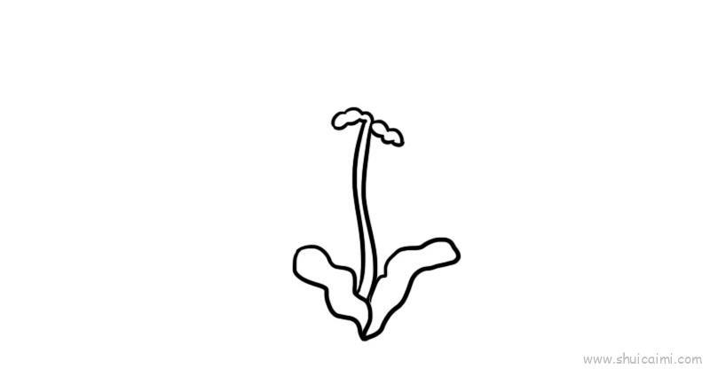 食人花儿童画怎么画 食人花简笔画步骤