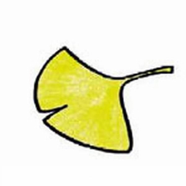 简笔画树叶 简笔画树叶边框