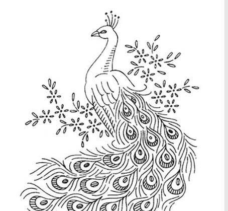 孔雀的简笔画 孔雀的简笔画图片