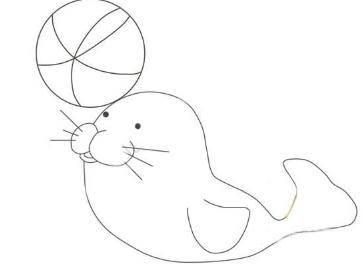 海豹简笔画 海豹简笔画图片