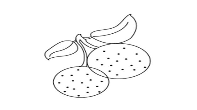 杨梅的简笔画怎么画 杨梅简笔画简单又好看