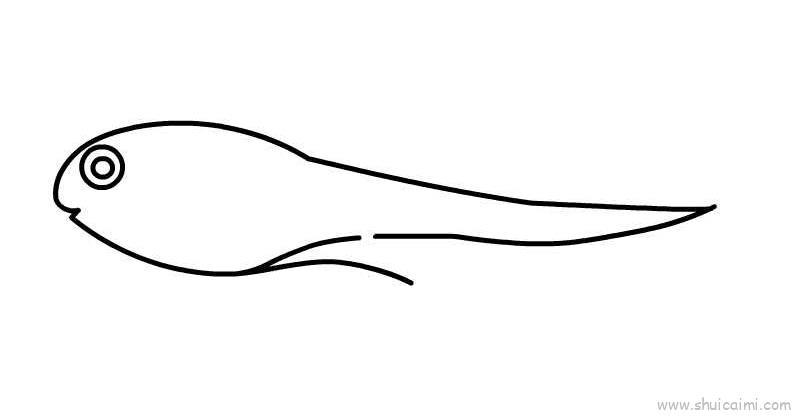 小蝌蚪儿童画怎么画 小蝌蚪简笔画步骤