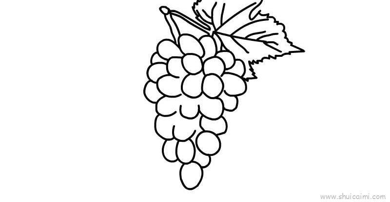 青提儿童画怎么画 青提简笔画步骤