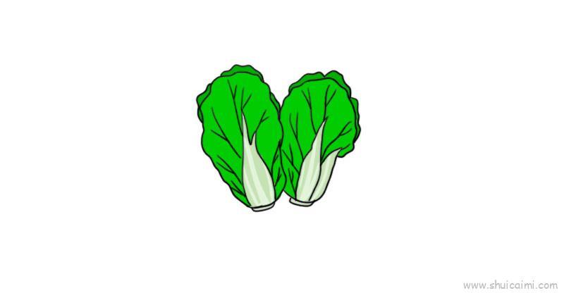 白菜儿童画怎么画 白菜简笔画图片大全